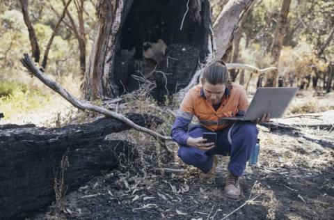 Woman with Laptop Inspecting Charred Ground After a Wildfire