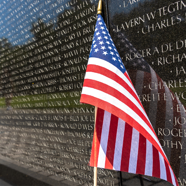 Veterans Day Vietnam Veterans Memorial